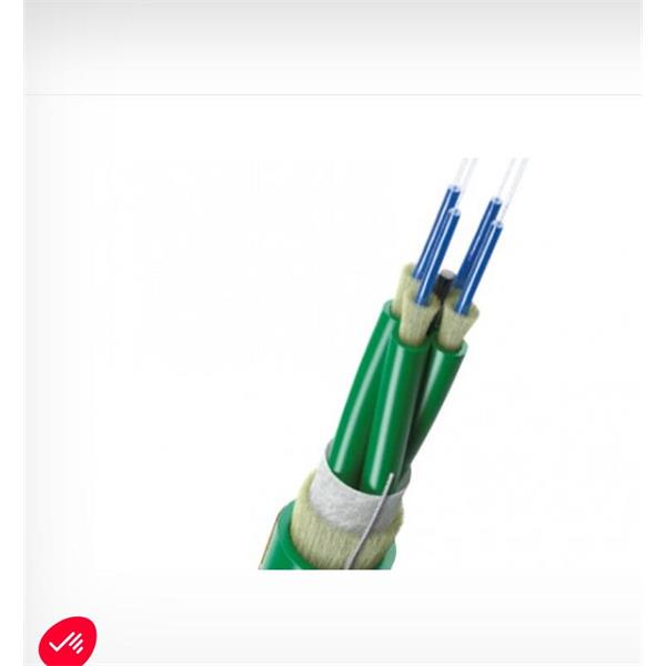 英國(guó)scaime兩端帶法蘭緊湊扭矩計(jì)DF2553-20Nm